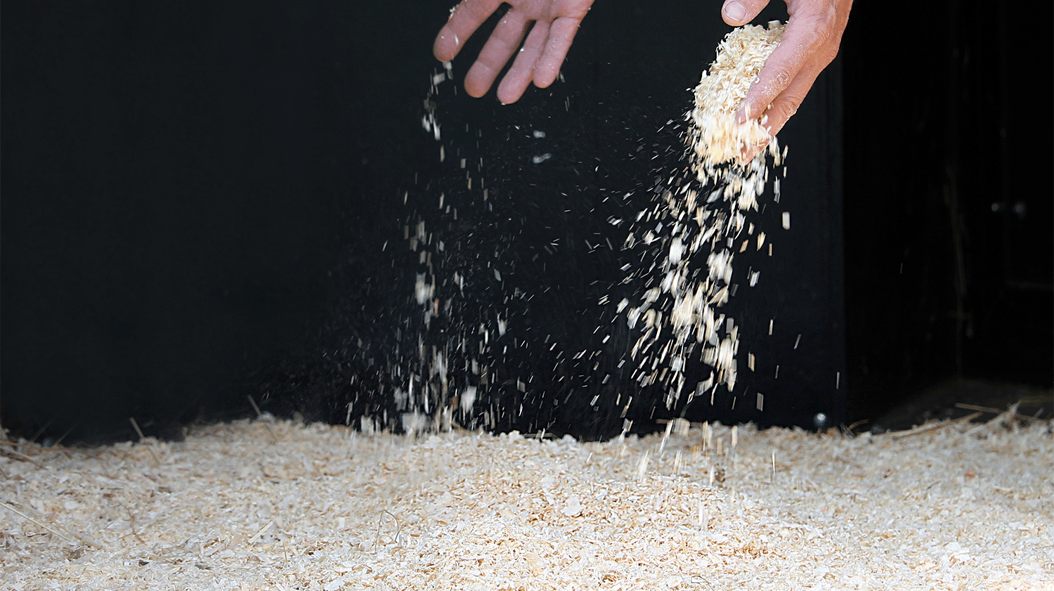 Späne Einstreu ausbringen