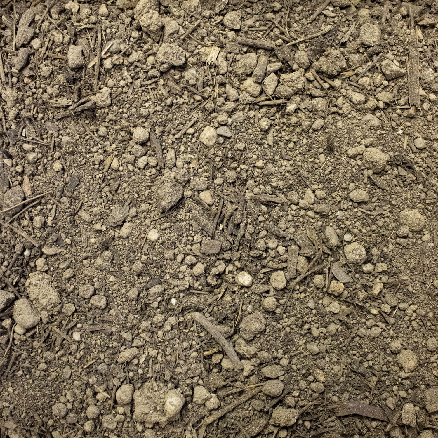 BOS50 Bodensubstrat Textur