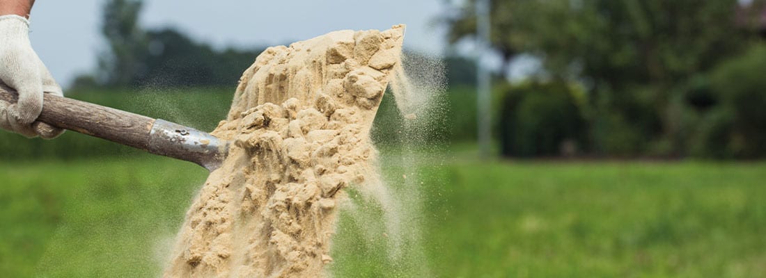 Rasen sanden: Wann, wie & mit welchem Sand? Anleitung & Tipps