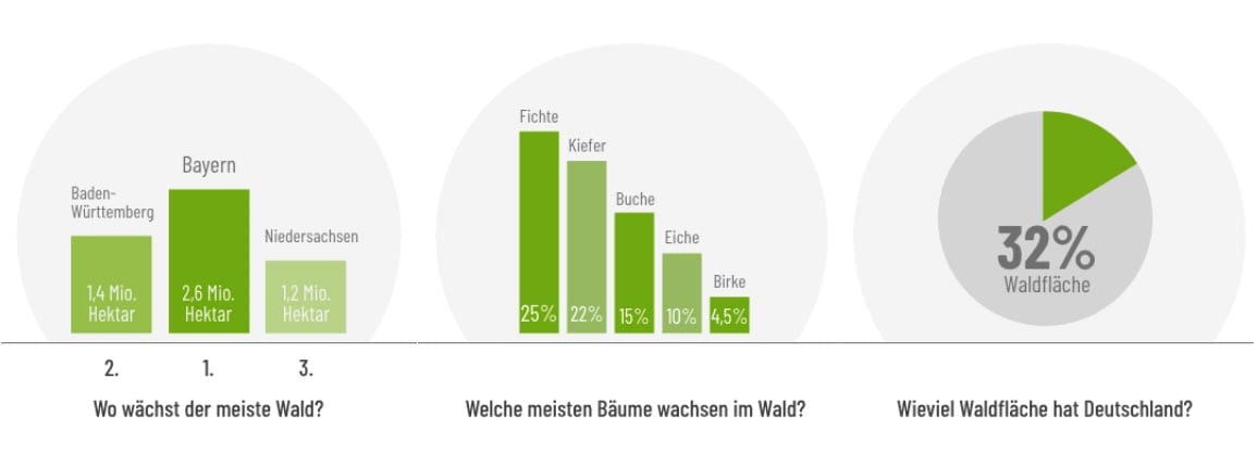 Wald in Zahlen