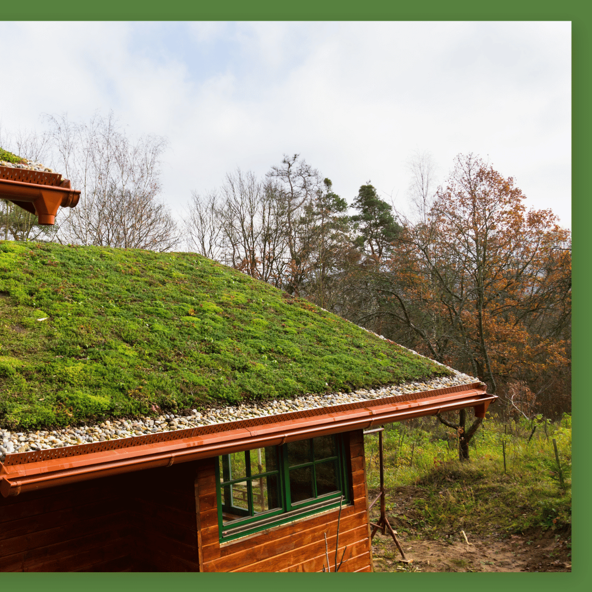 Nahaufnahme eines Pflanzgefäßes mit einer dekorativen Schicht aus braunen Blähton-Kugeln, zwischen grünen Pflanzenblättern und einem Korb arrangiert.
