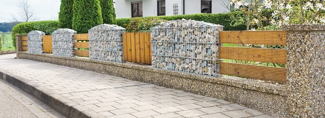 geigenfeige ficus lyrata Geigenfeige | Ficus Lyrata Online kaufen!