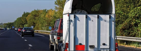 Anhänger transportiert Pferd auf Autobahn, begleitet von Geländewagen. Dichte Vegetation und vereinzelte Fahrzeuge im Hintergrund.