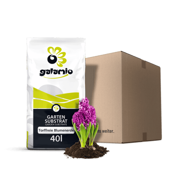 SBP40 Torffreie Blumenerde 40l Paket