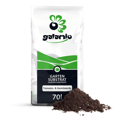 STG70 Tomaten Gemueseerde Verpackung Haufen rechts