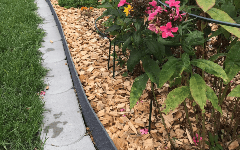 Blumenbeet mit verschiedenen blühenden Pflanzen, darunter rosa Blüten, umgeben von einer Schicht aus hellbraunen Holzhackschnitzeln. Der Mulch schützt den Boden, während ein sauberer Betonrand das Beet von einer gepflegten Rasenfläche trennt.