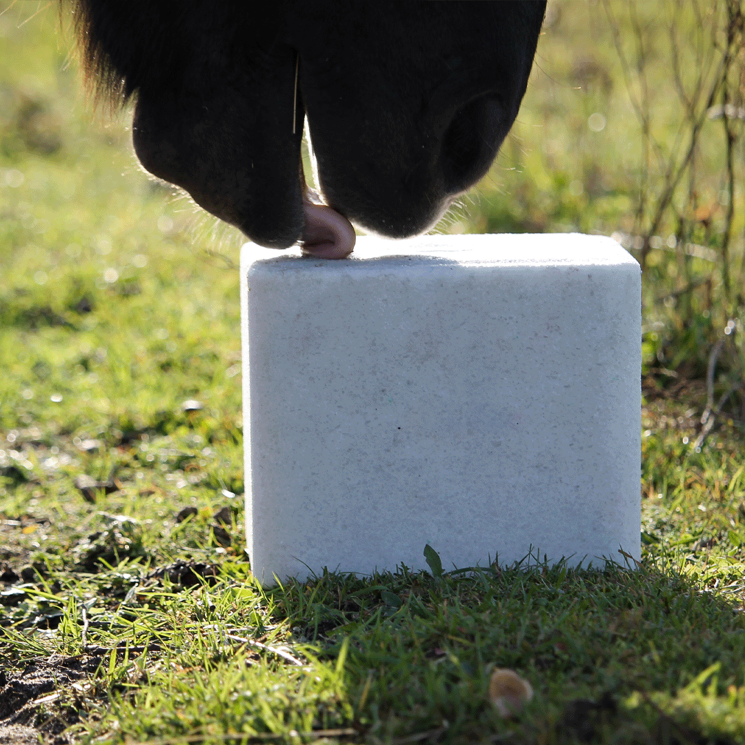 LSL10 Salzleckstein Multi Lisal Anwendungsbild1 min