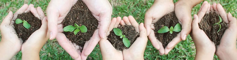 Banner für Weißtorf Titel