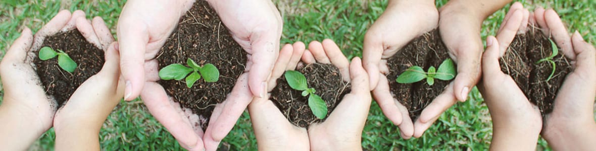 Banner für Weißtorf Titel