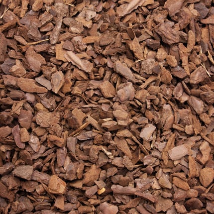 MPA60 Pinienrinde Fein Textur