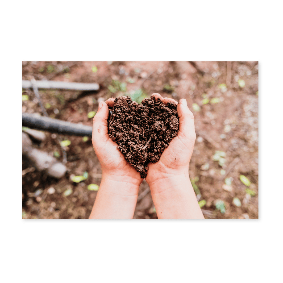 Content Bilder 200 Erde (4)