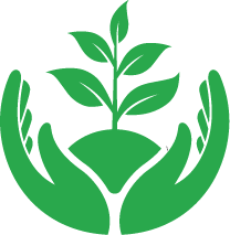 Bodenschutz durch Mulch.