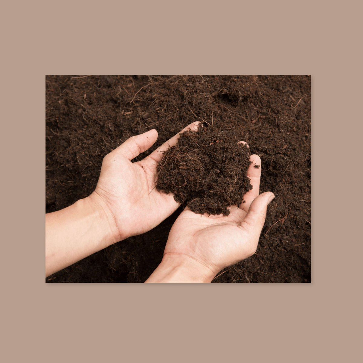 Content Bilder 200 Erde (3)