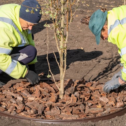 MUD60 Rindenmulch Kiefer Deko Anwendung2