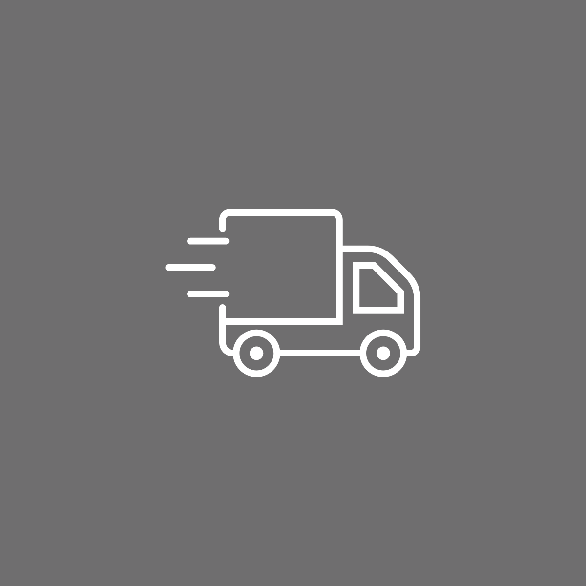 Lieferwagen – symbolisiert schnelle und zuverlässige Lieferung von Palettenware direkt bis zur Haustür.