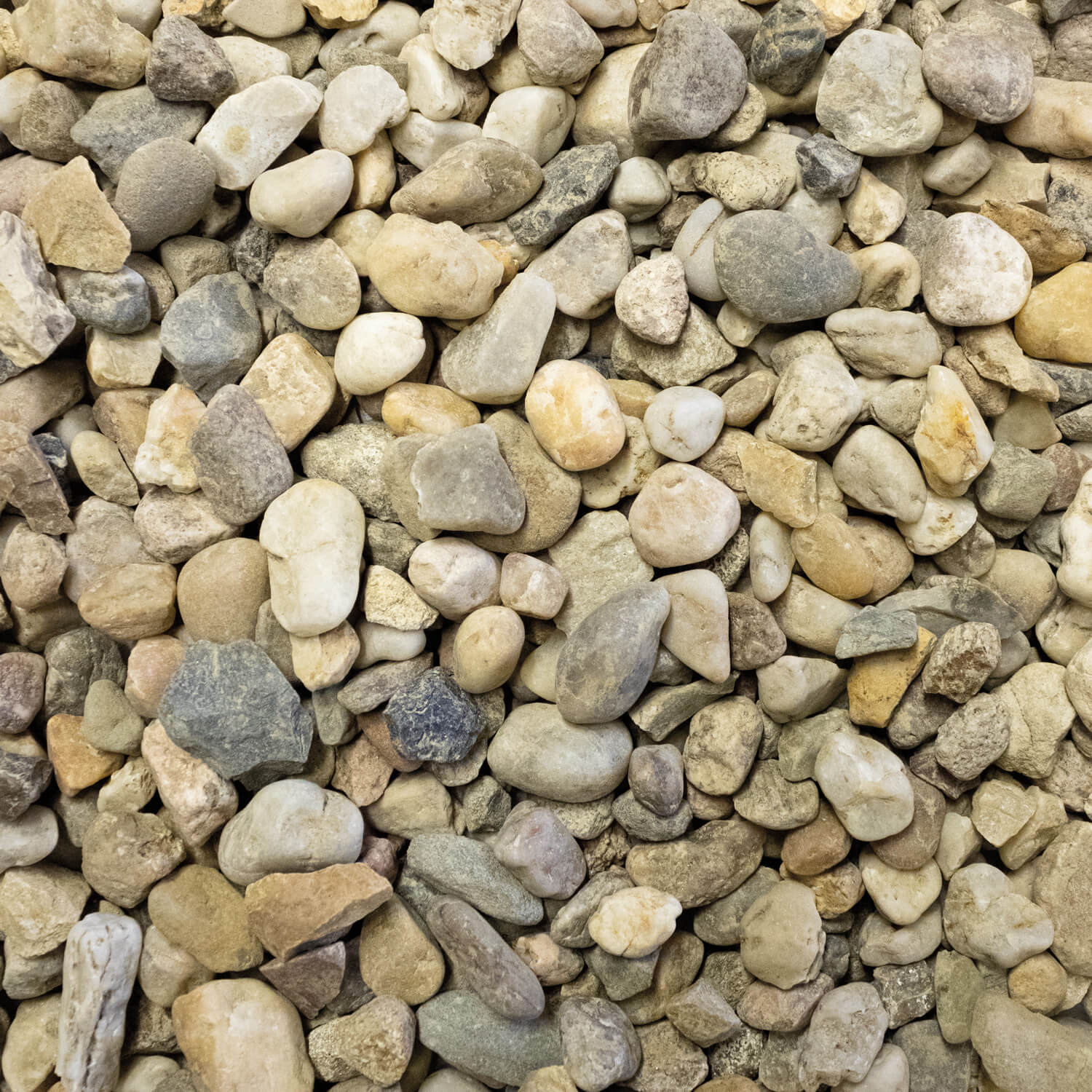 KBB50 Buntkies 8 16 Textur