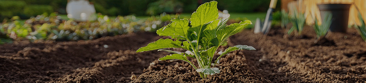 Banner für Bodenaktivator Titel