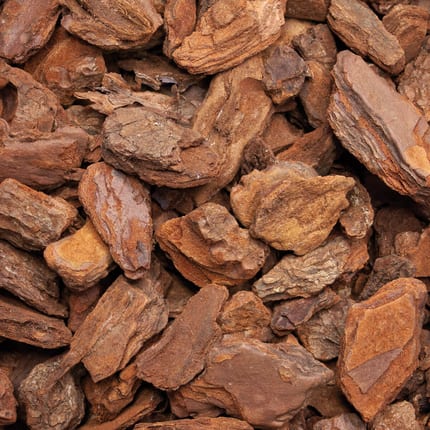 MPC60 Pinienrinde Grob Makro