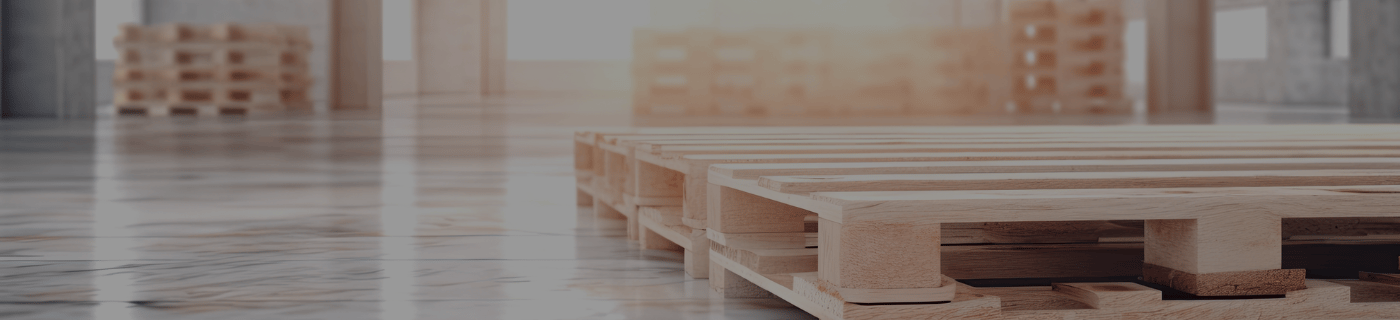 Banner für Paligo Angebote Titel