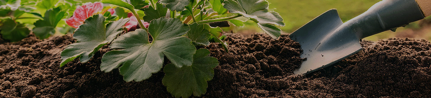 Banner für Blumenerde Titel