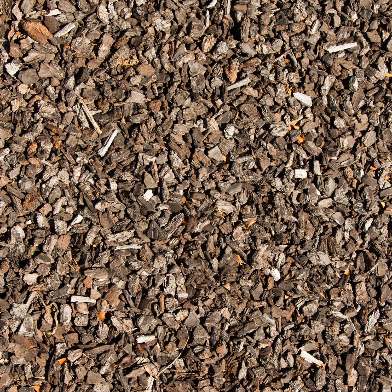 MUA60 Rindenmulch Kiefer Fein Textur2