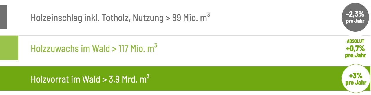Versorgung Holz in der Zukunft
