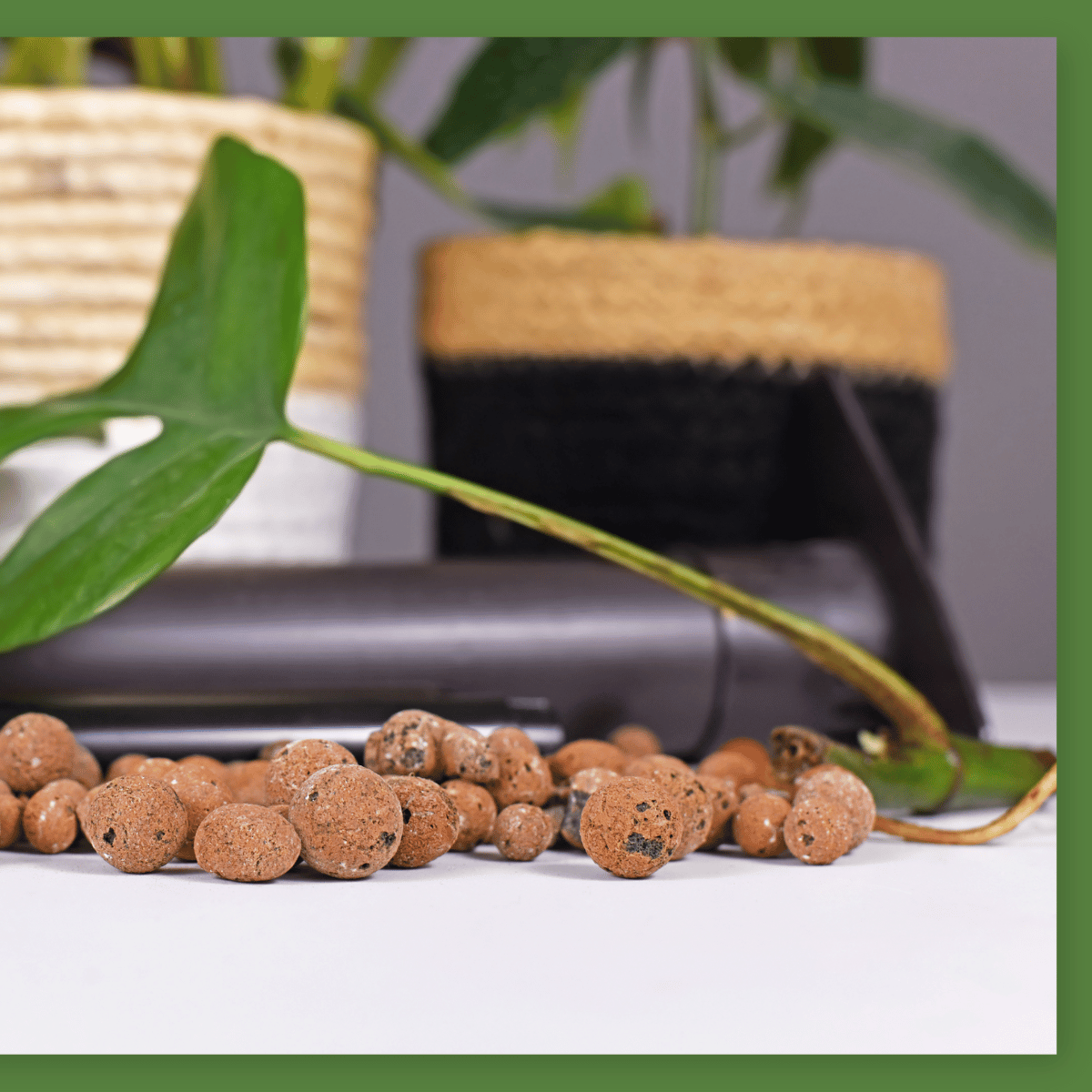 Nahaufnahme eines Pflanzgefäßes mit einer dekorativen Schicht aus braunen Blähton-Kugeln, zwischen grünen Pflanzenblättern und einem Korb arrangiert.