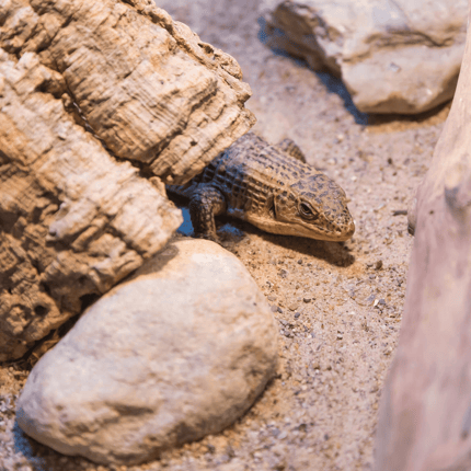 QSD25 Quarzsand Anwendung