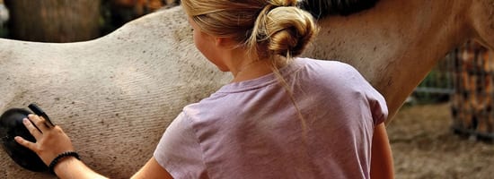 Putzbox Einmaleins 1