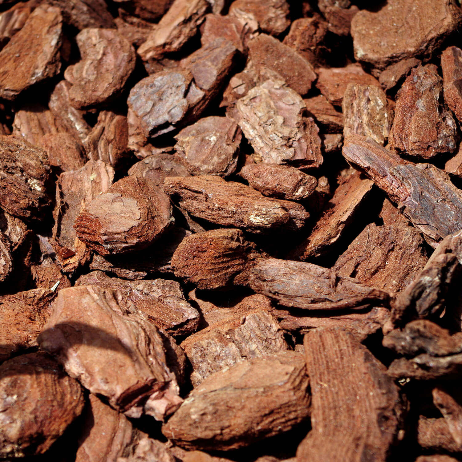 MPI60 Pinienrinde DekoPlus Textur