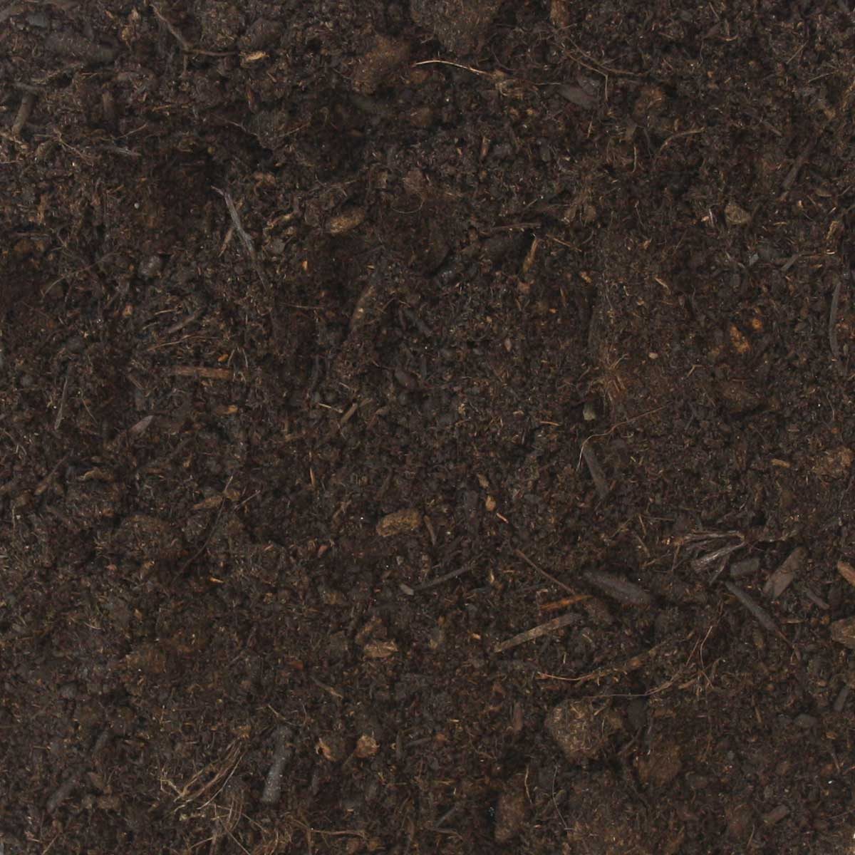 EPT70 tommi pflanzerde detail