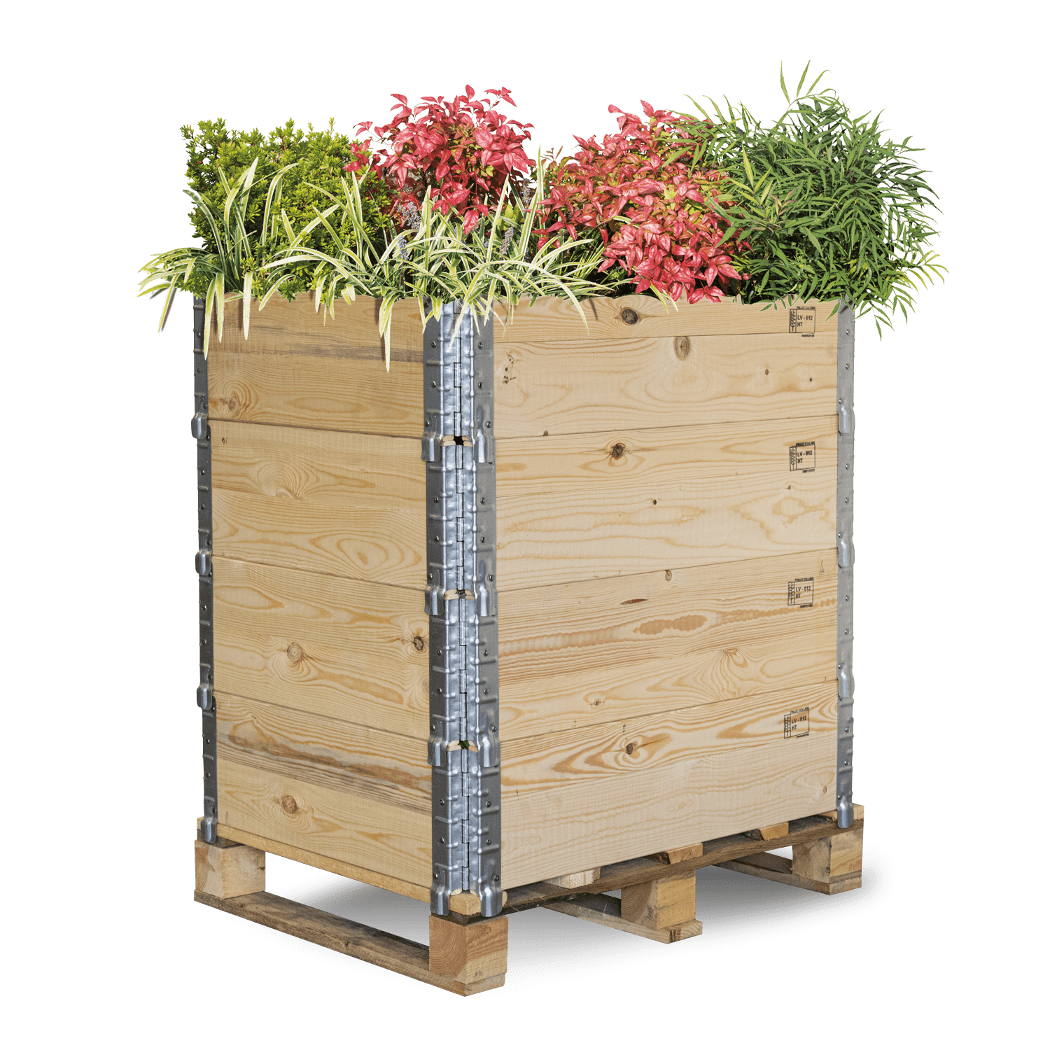 ZHA04 Hochbeet Maria klein