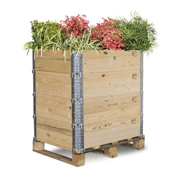 ZHA04 Hochbeet Maria klein