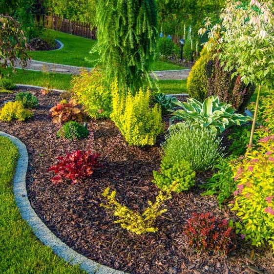 MUA60 Rindenmulch Kiefer Fein Anwendung2