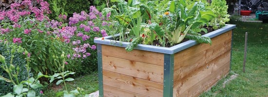 Hochbeet 1