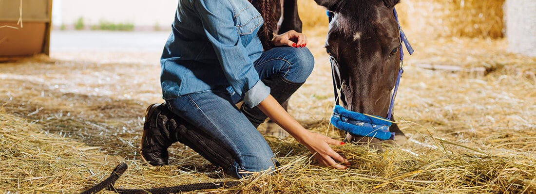 Person füttert ein Pferd auf kniender Position in einem Stall mit Heu. Der Boden ist mit Stroh bedeckt. Scene vermittelt ländlichen Charme und Tierpflege.
