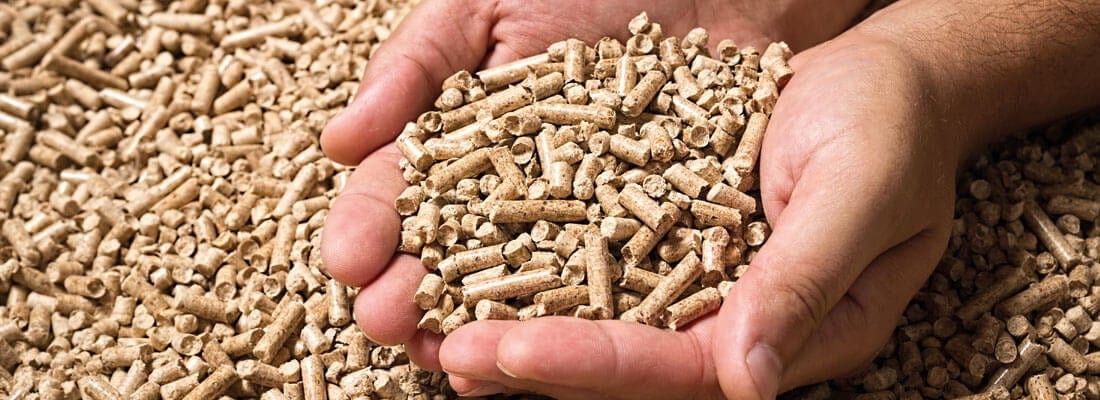 Hände halten eine Menge Holzpellets. Die Pellets werden über einer größeren Ansammlung derselben Materialart gezeigt.