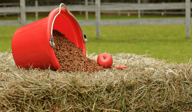 Ein Eimer auf einem Heuballen, gefüllt mit Pferdefutter, bereit zur Fütterung.