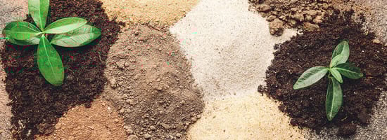 AlteErdeWiederverwenden