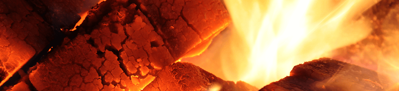 Banner für Rekord Braunkohle Titel