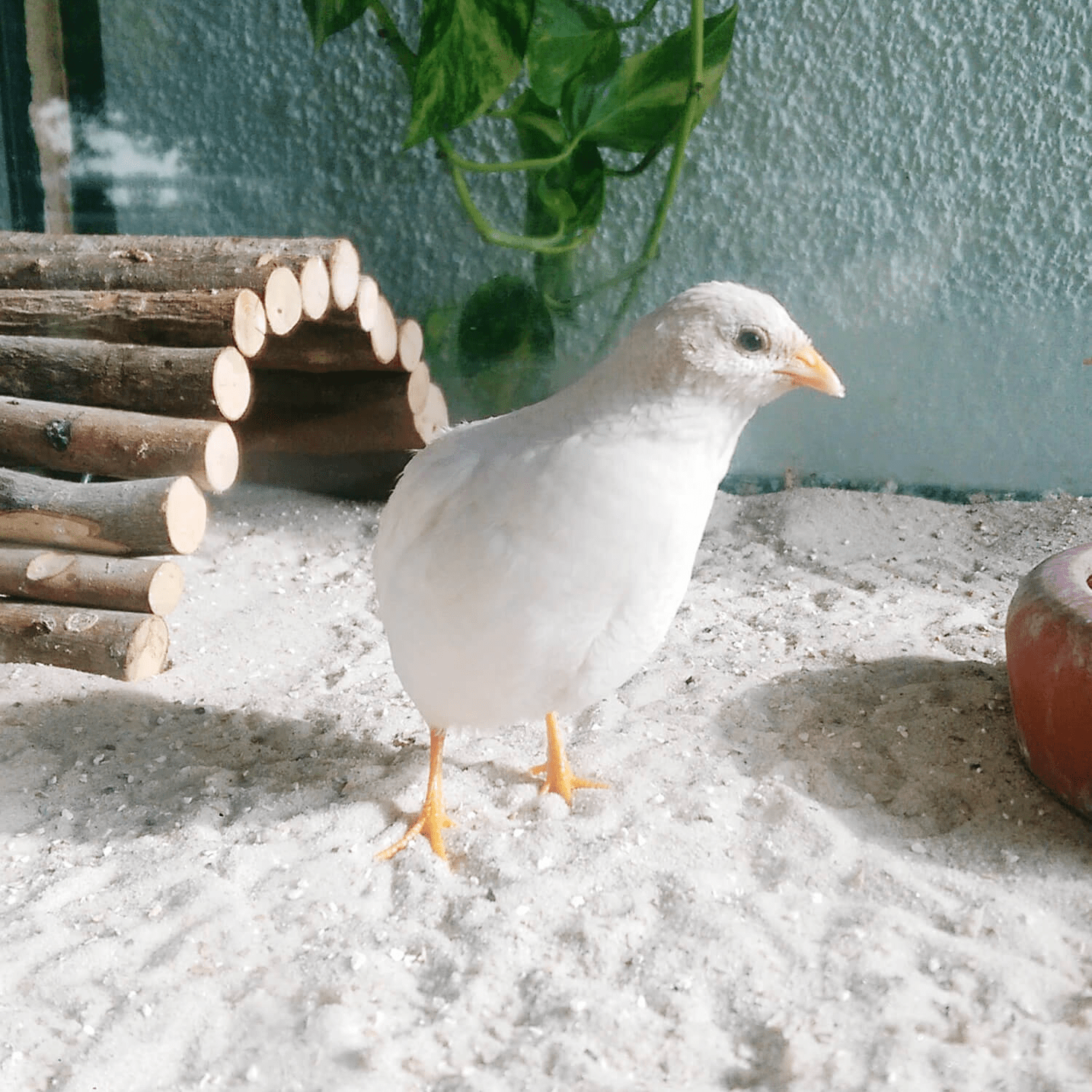 SSG25 Quarzsand Anwendung1