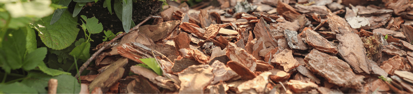 Banner für Galamio Kiefernmulch Titel