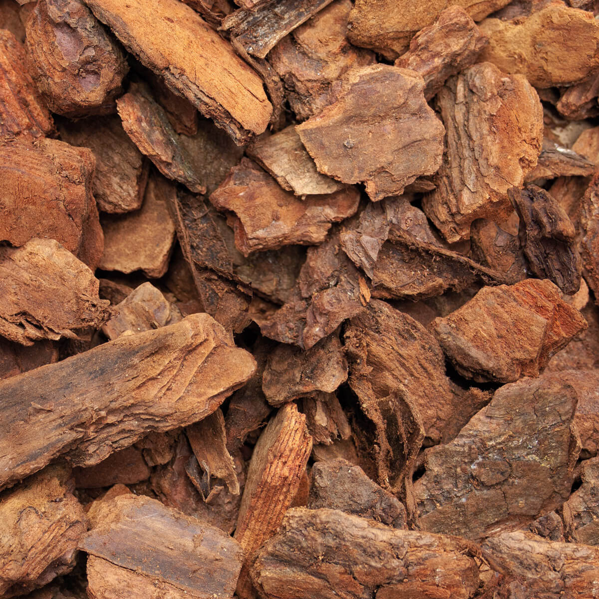 MPD60 Pinienrinde Deko textur