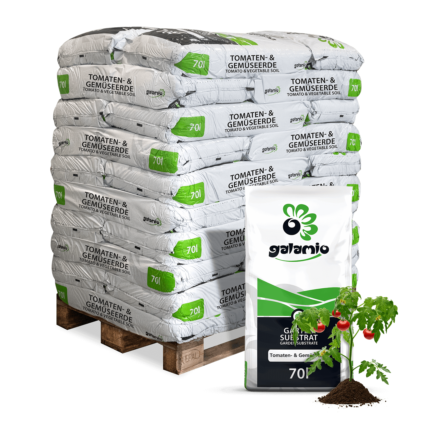 STG70-Tomaten-Gemueseerde-