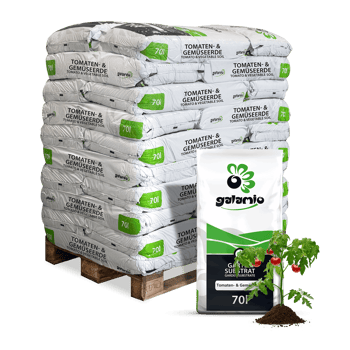 STG70 Tomaten Gemueseerde 30er Palette Verpackung