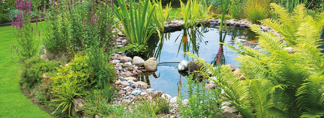 Gartenteich mit Seerosen, Steinen und üppiger Bepflanzung bei Sonnenschein
