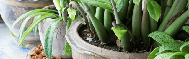 Das vielseitige tongranulat