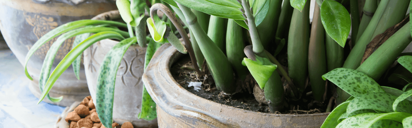 Das vielseitige tongranulat