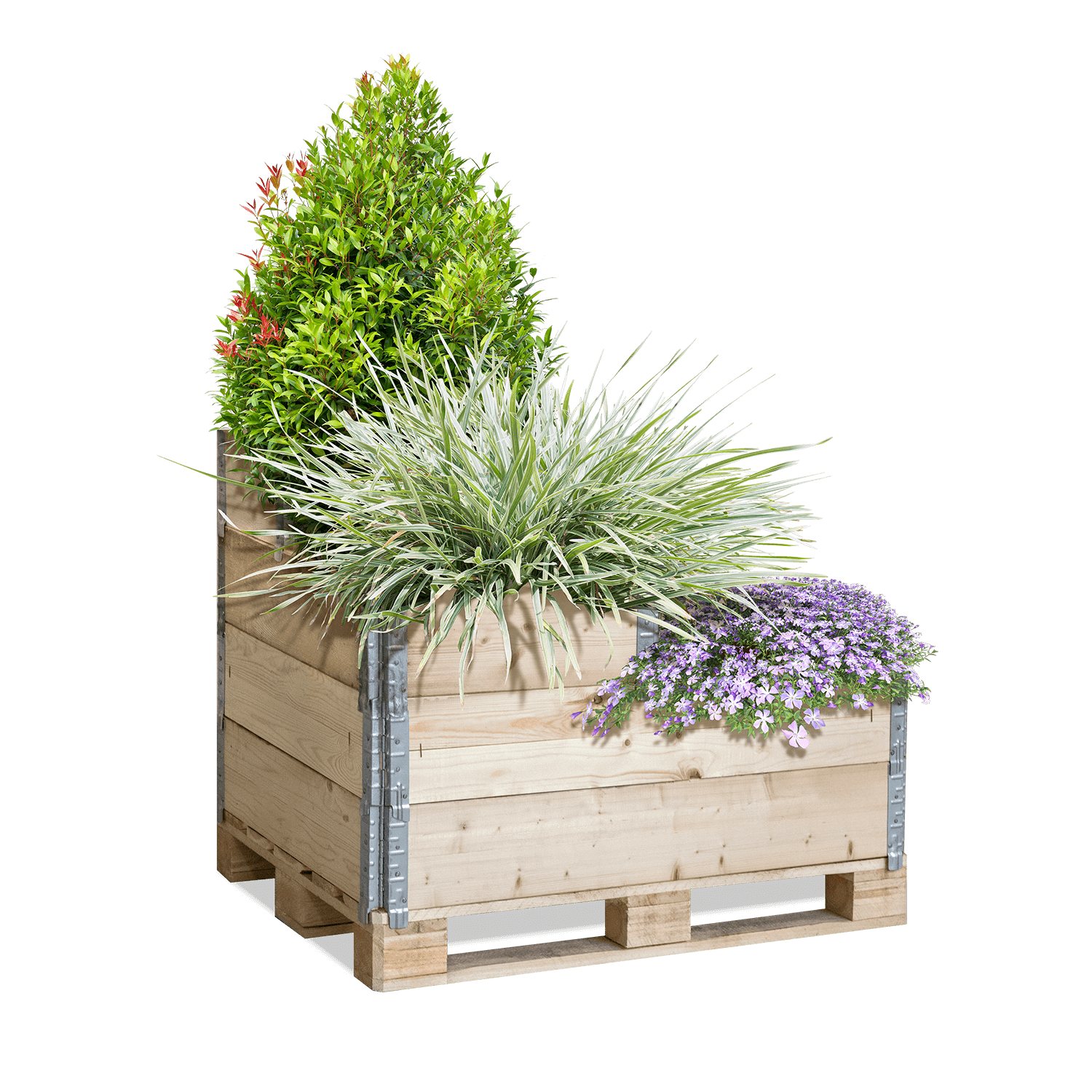 ZHD04 Hochbeet Gartenparadies bepflanzt