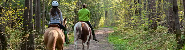 Zwei Personen reiten auf Pferden entlang eines Waldwegs, umgeben von dichtem, grünem Laub. Frühlings- oder Sommerstimmung im dichten Forst.